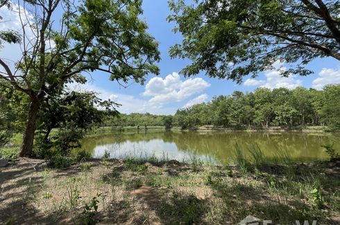 Land for sale in Tha Sai, Chiang Rai