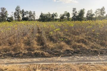 Land for sale in Na Samai, Ubon Ratchathani