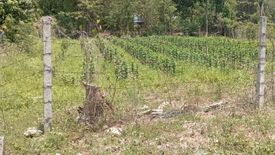 Land for sale in Cham Phak Phaeo, Saraburi