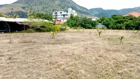 Land for sale in Kamala, Phuket