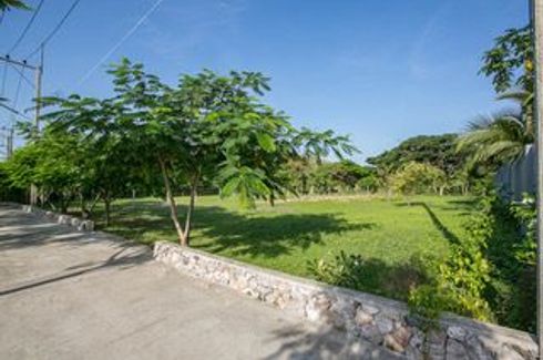 Land for sale in Hin Lek Fai, Prachuap Khiri Khan