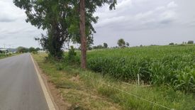 Land for sale in Nong Pling, Kanchanaburi