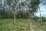 Land for sale in Khuan Phang, Nakhon Si Thammarat
