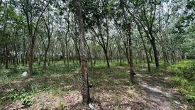 Land for sale in Khuan Phang, Nakhon Si Thammarat