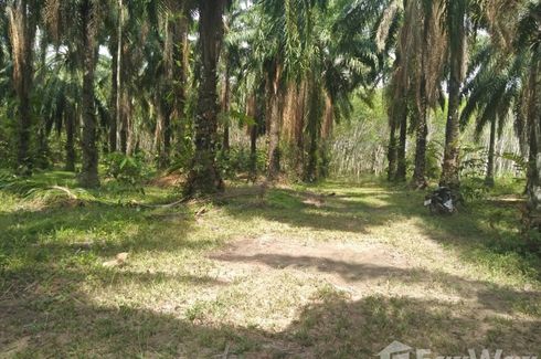 Land for sale in Krabi Noi, Krabi