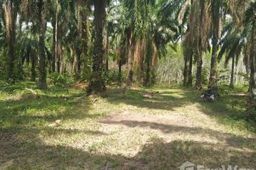 Land for sale in Krabi Noi, Krabi