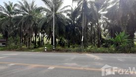 Land for sale in Krabi Noi, Krabi