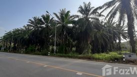 Land for sale in Krabi Noi, Krabi