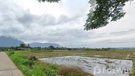 Land for sale in Chiang Dao, Chiang Mai