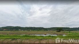 Land for sale in Chiang Dao, Chiang Mai