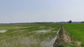 Land for sale in Tha Bo, Nong Khai