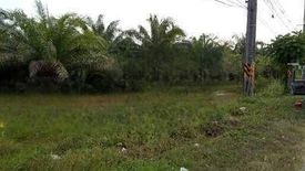 Land for sale in Tak Daet, Phang Nga