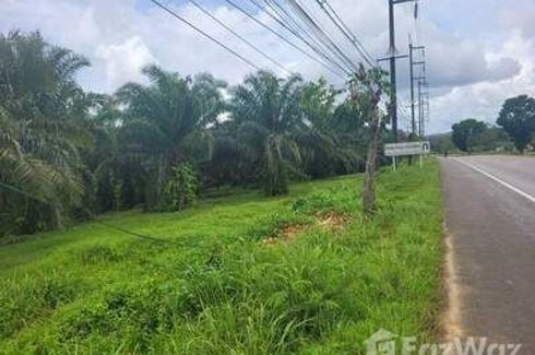 Land for sale in Tak Daet, Phang Nga