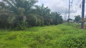 Land for sale in Tak Daet, Phang Nga