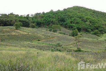 Land for sale in Pa Tueng, Chiang Rai