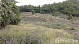 Land for sale in Pa Tueng, Chiang Rai