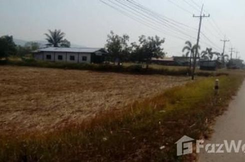 Land for sale in Nong Sang, Chaiyaphum