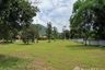 Land for sale in Makhuea Chae, Lamphun