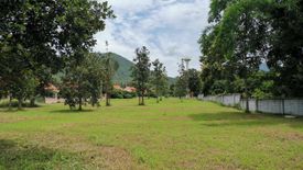 Land for sale in Makhuea Chae, Lamphun