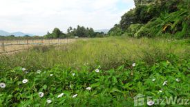 Land for sale in Inthakhin, Chiang Mai