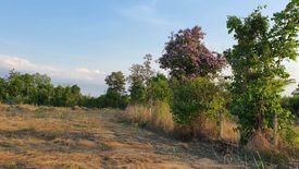 Land for sale in Na Bua, Udon Thani