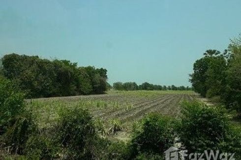 Land for sale in Den Yai, Chainat