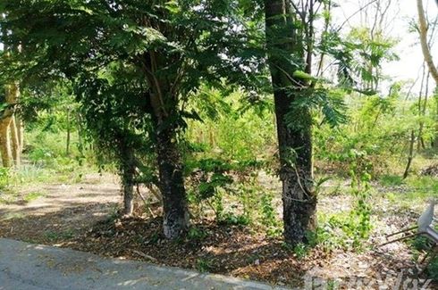 Land for sale in Bang Khu Wiang, Nonthaburi