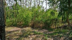 Land for sale in Bang Khu Wiang, Nonthaburi