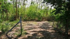 Land for sale in Bang Khu Wiang, Nonthaburi