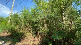 Land for sale in Sai Noi, Nonthaburi