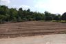 Land for sale in Tha Khum Ngoen, Lamphun