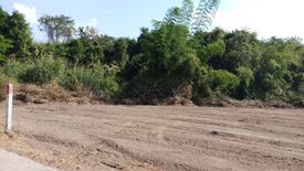 Land for sale in Tha Khum Ngoen, Lamphun