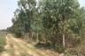 Land for sale in Hua Thale, Nakhon Ratchasima