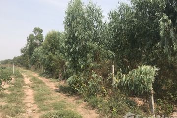 Land for sale in Hua Thale, Nakhon Ratchasima