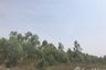 Land for sale in Hua Thale, Nakhon Ratchasima