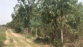 Land for sale in Hua Thale, Nakhon Ratchasima