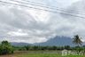 Land for sale in Chiang Dao, Chiang Mai