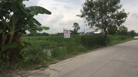 Land for sale in Lak Hok, Pathum Thani