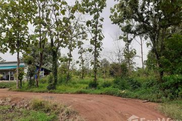 Land for sale in Wang Lum, Phichit