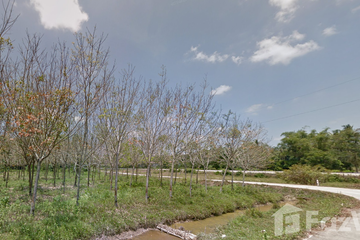 Land for sale in Khuan Koei, Nakhon Si Thammarat