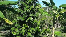 Land for sale in Ko Khanun, Chachoengsao