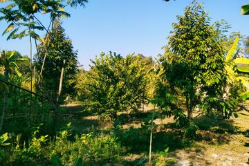 Land for sale in Ko Khanun, Chachoengsao