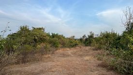 Land for sale in Thap Khang, Phetchaburi