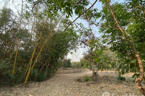 Land for sale in Mueang Chi, Lamphun