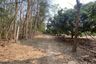 Land for sale in Mueang Chi, Lamphun