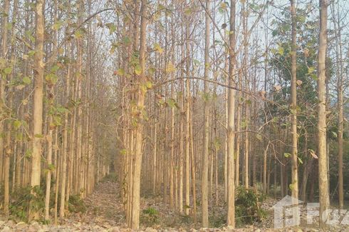 Land for sale in Bo Rang, Phetchabun