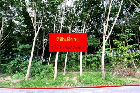 Land for sale in Nong Taphan, Rayong