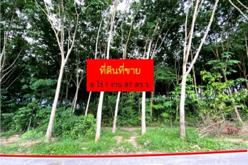 Land for sale in Nong Taphan, Rayong