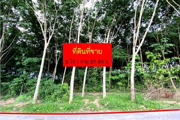 Land for sale in Nong Taphan, Rayong