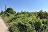 Land for sale in Don Chimphli, Chachoengsao